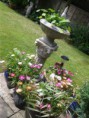 /album/photo-gallery-hook-open-gardens-2013/chysauster-hog-2013-4-small-jpg1/